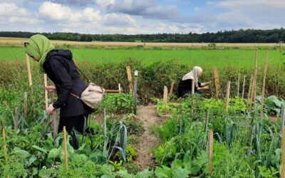 Waarom halal een uiting is van een duurzame levensstijl – Nieuw Wij Column